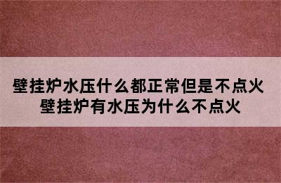 壁挂炉水压什么都正常但是不点火 壁挂炉有水压为什么不点火